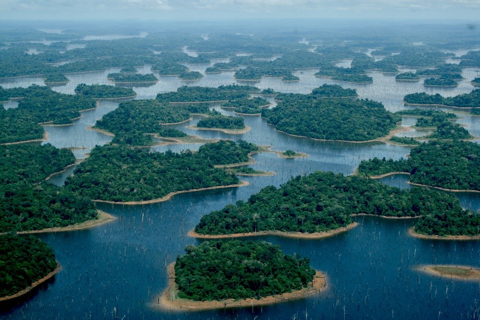 Figure 1: An aerial photograph of the Balbina Hydroelectric Reservoir, showcasing a highly fragmented landscape consisting of many islands of different sizes. Picture credit belongs to Luke Gibson.